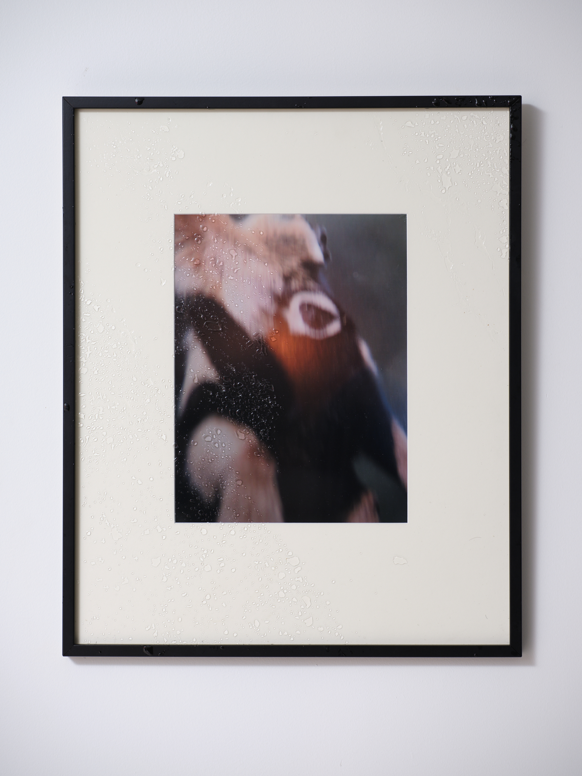 [WetGreen, Mammals]